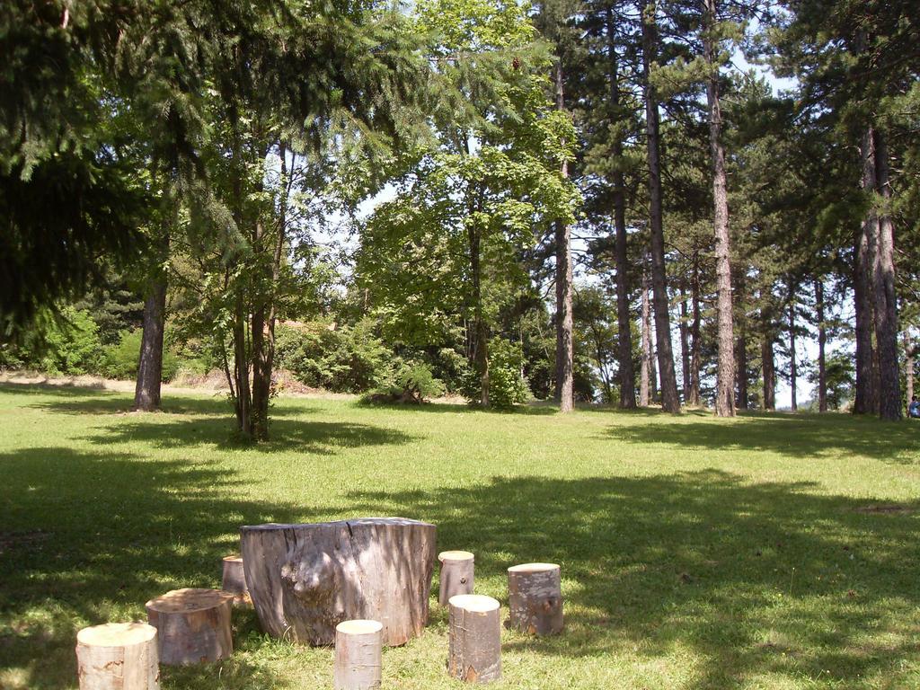 Guest House Colovic Zlatibor Luaran gambar